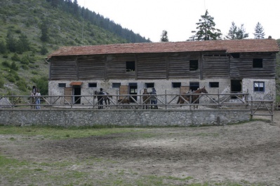 Horse base 